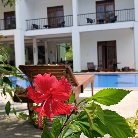 Amelia Resort 锡吉里亚 外观 照片